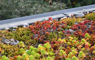 the cost of Littlebredy green roof installation