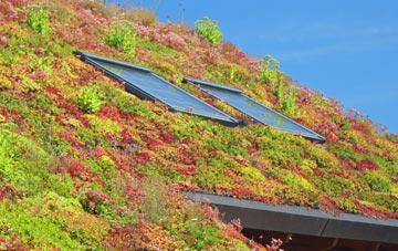 Littlebredy living roof systems