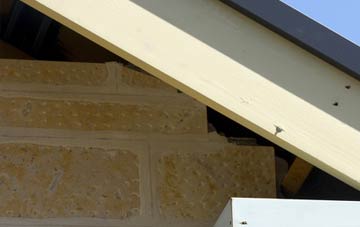 soffit repair Littlebredy