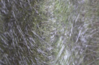 Littlebredy fibreglass roof work